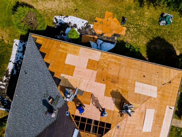 Best Roof Leak Repair  in Magnolia, MS