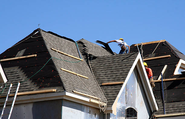 Best Metal Roofing Contractor  in Magnolia, MS