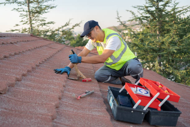 Best Roof Repair Services  in Magnolia, MS